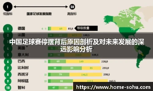 中国足球赛停摆背后原因剖析及对未来发展的深远影响分析