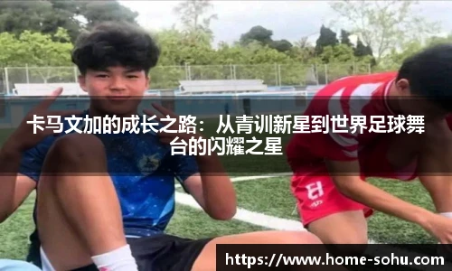 搜狐体育直播